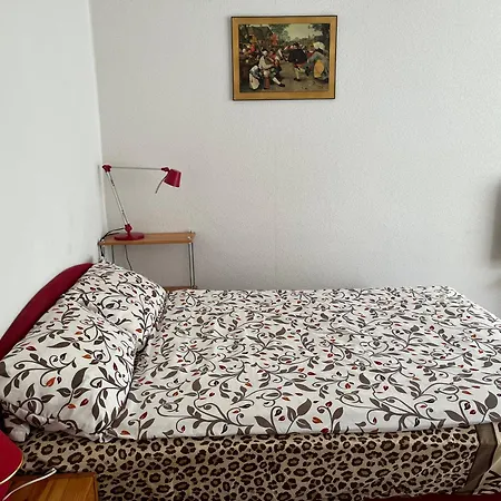 Homesweethome Free Parking Wifi Elevator Balcony Kassel Exterior photo