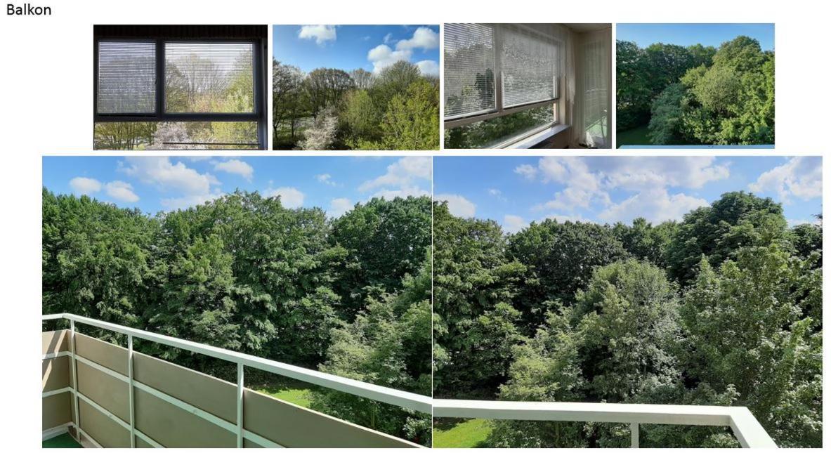 Homesweethome Free Parking Wifi Elevator Balcony Apartment Kassel