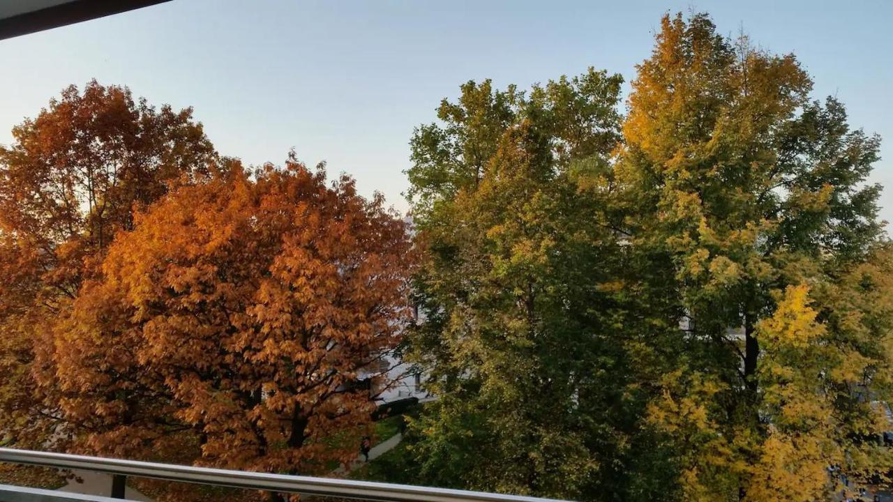 Homesweethome Free Parking Wifi Elevator Balcony Apartment Kassel