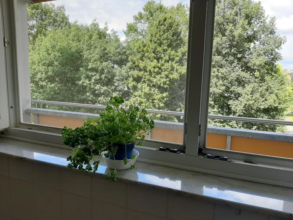 Homesweethome Free Parking Wifi Elevator Balcony Kassel