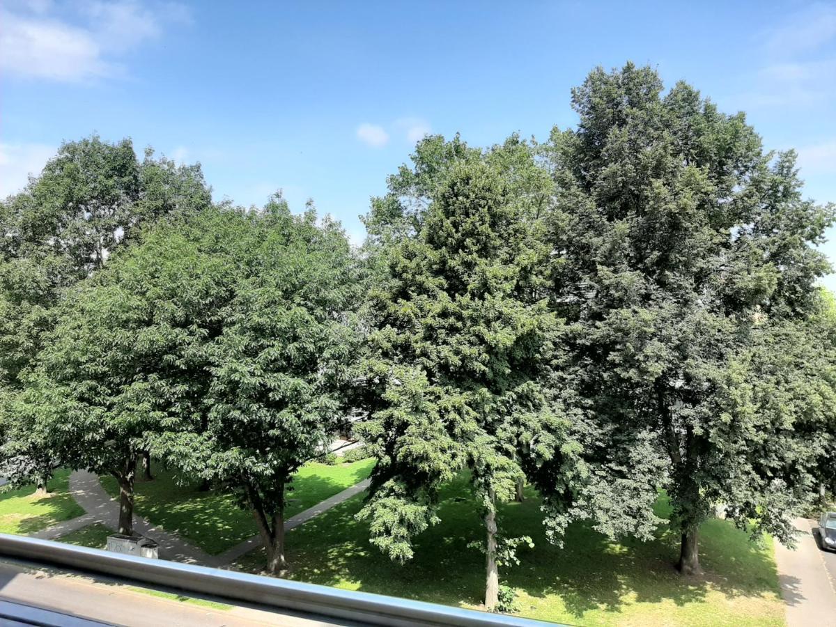 Homesweethome Free Parking Wifi Elevator Balcony * Kassel