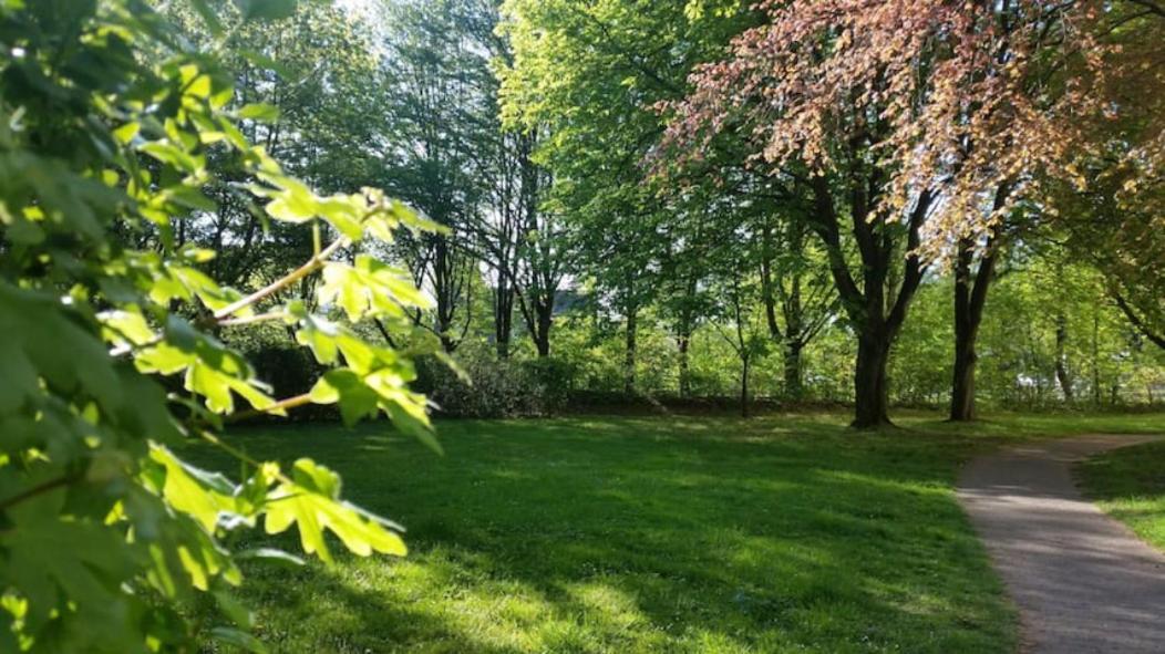 Homesweethome Free Parking Wifi Elevator Balcony * Kassel