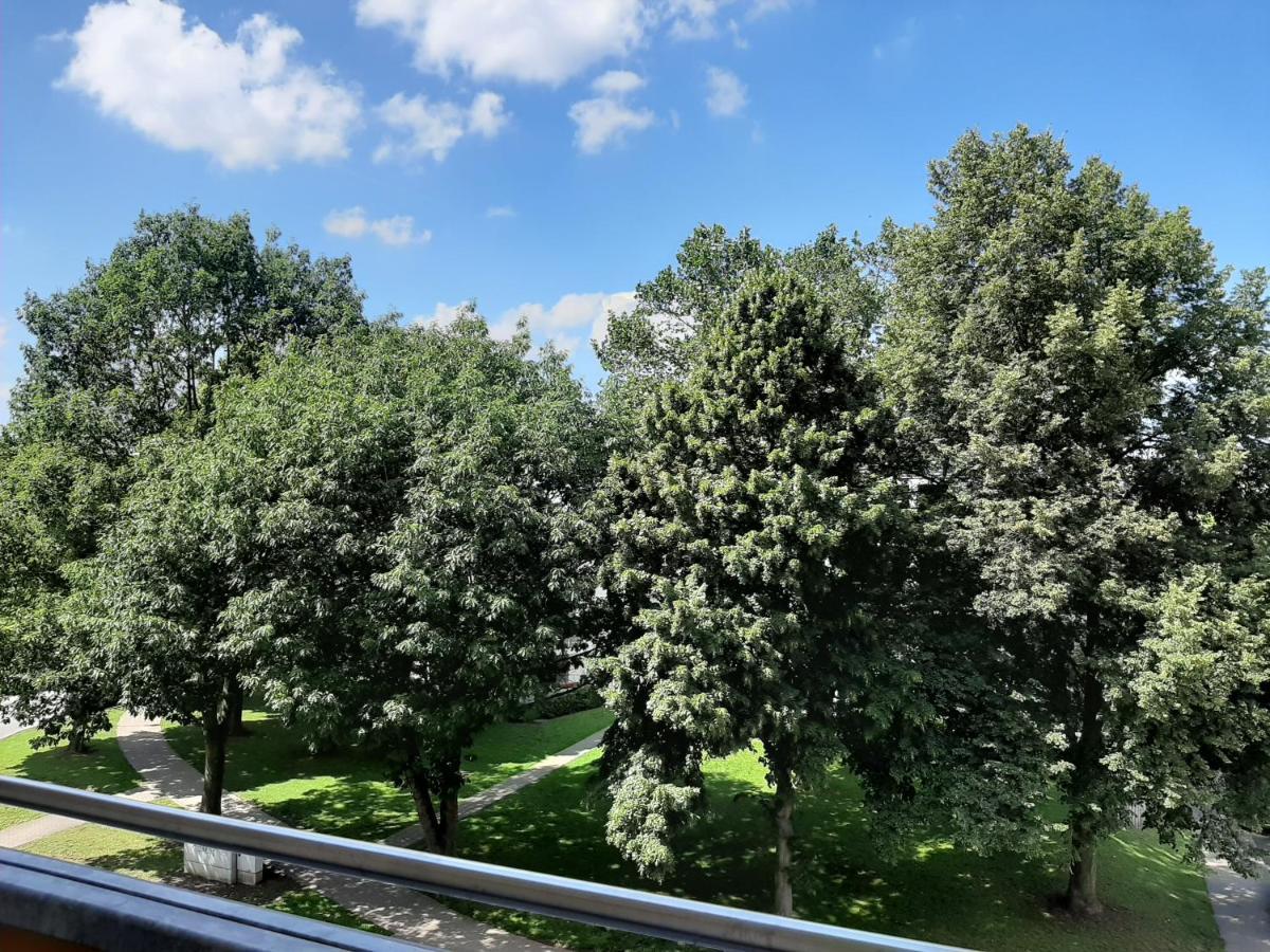 Homesweethome Free Parking Wifi Elevator Balcony * Kassel